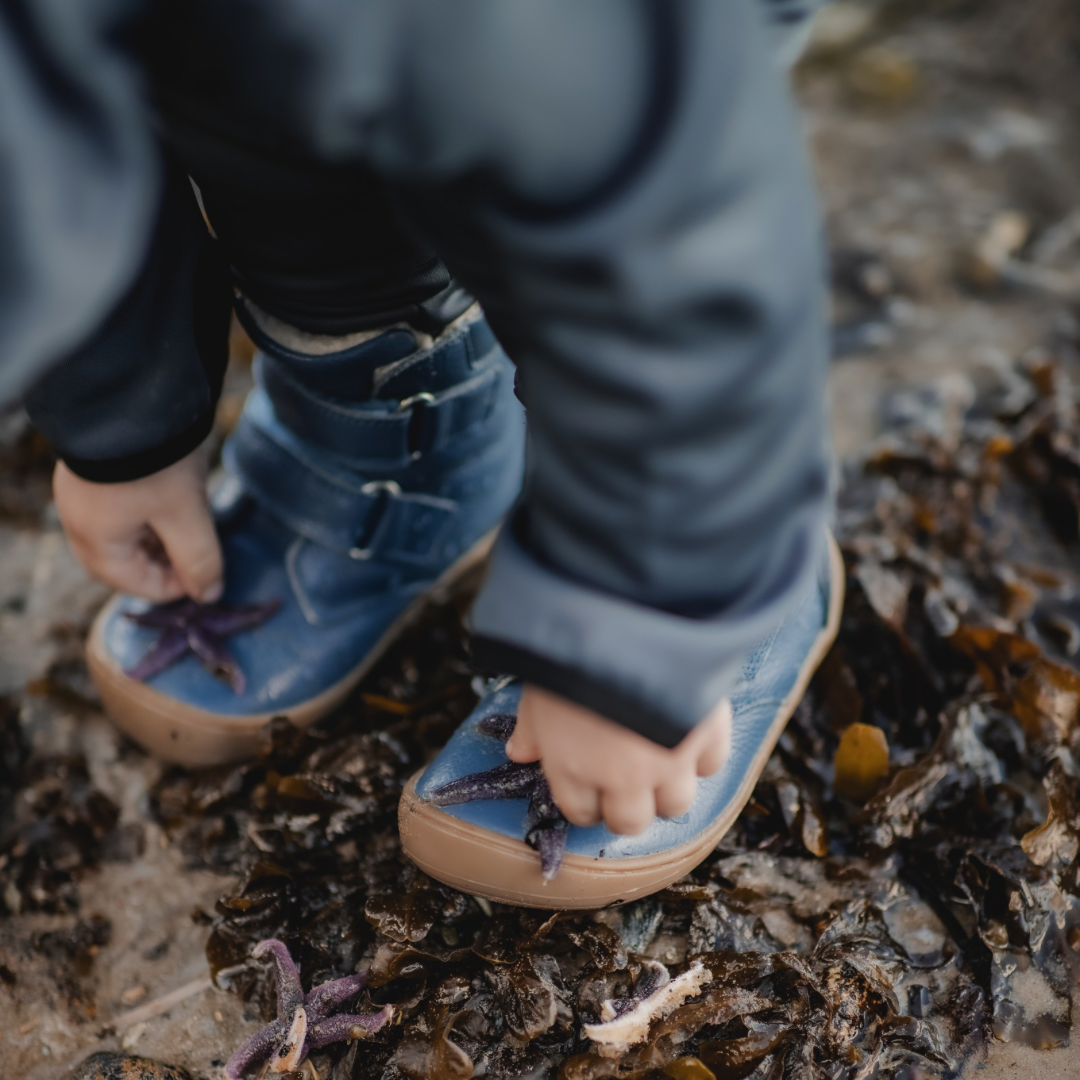 Gogsig Andie – Blu Chiaro Stella