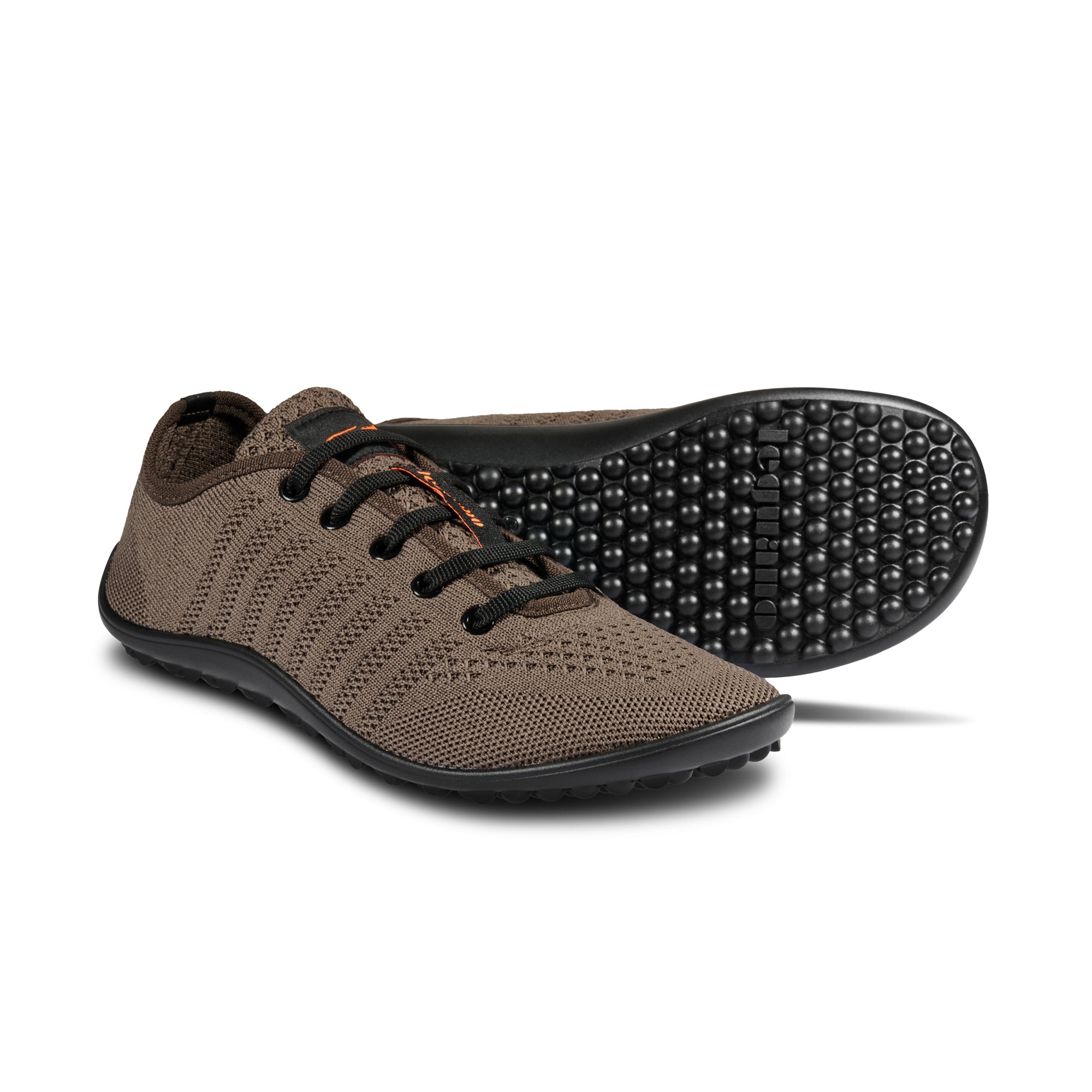 Leguano Go: Basso – Marrone