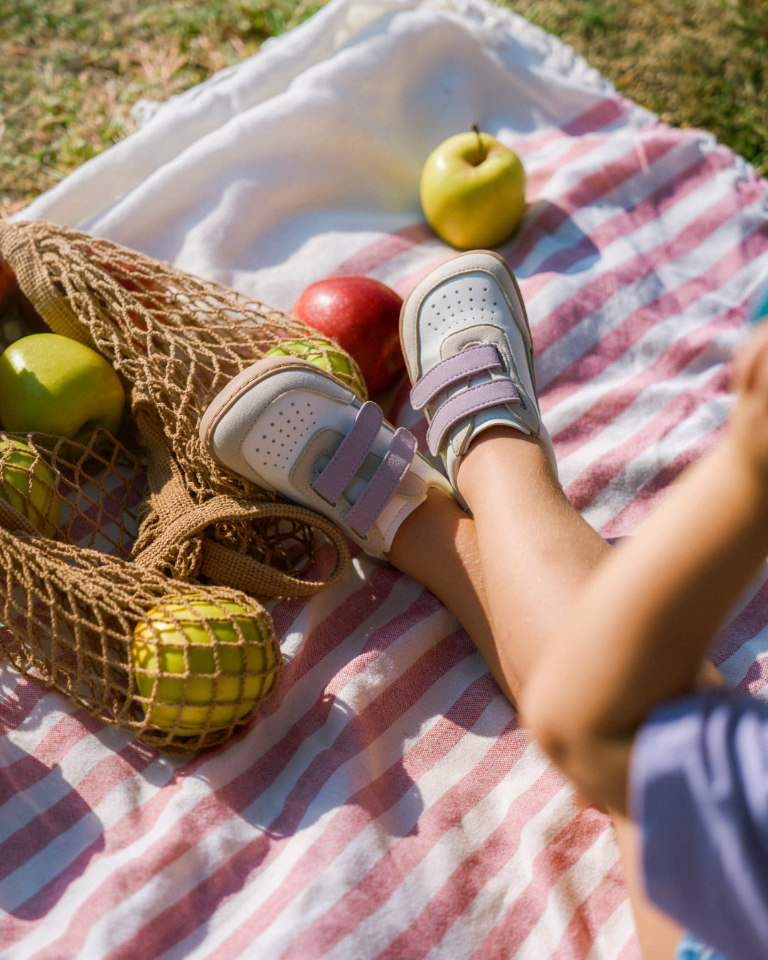 Muris Petra Mini – Malva