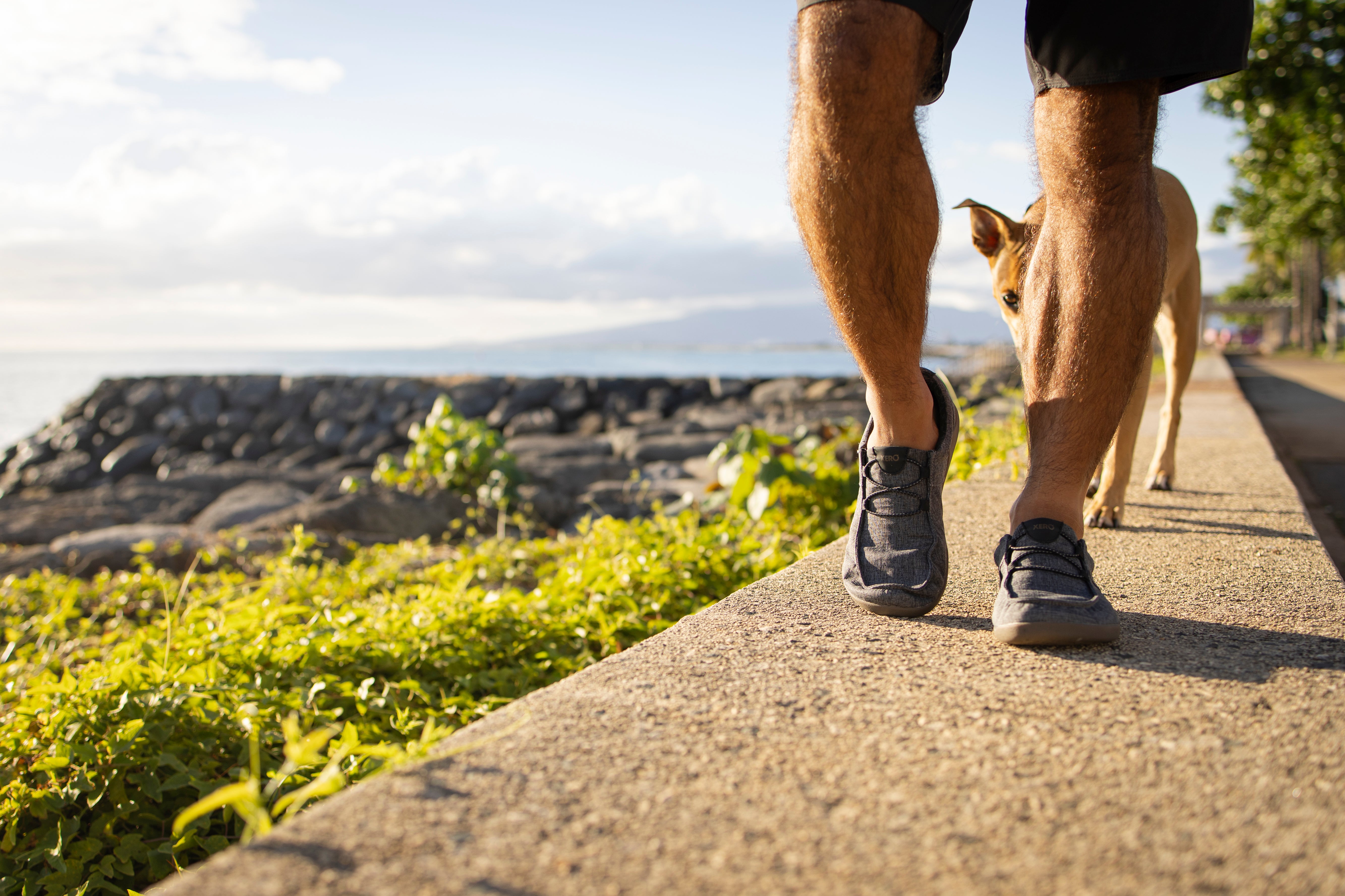 Scarpe Xero Kona Uomo – Asfalto