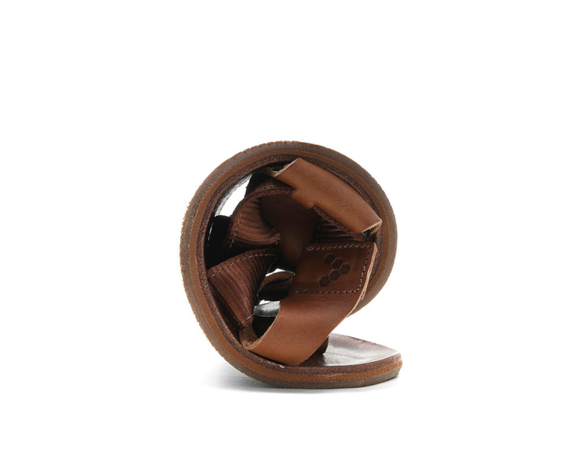 Acorn