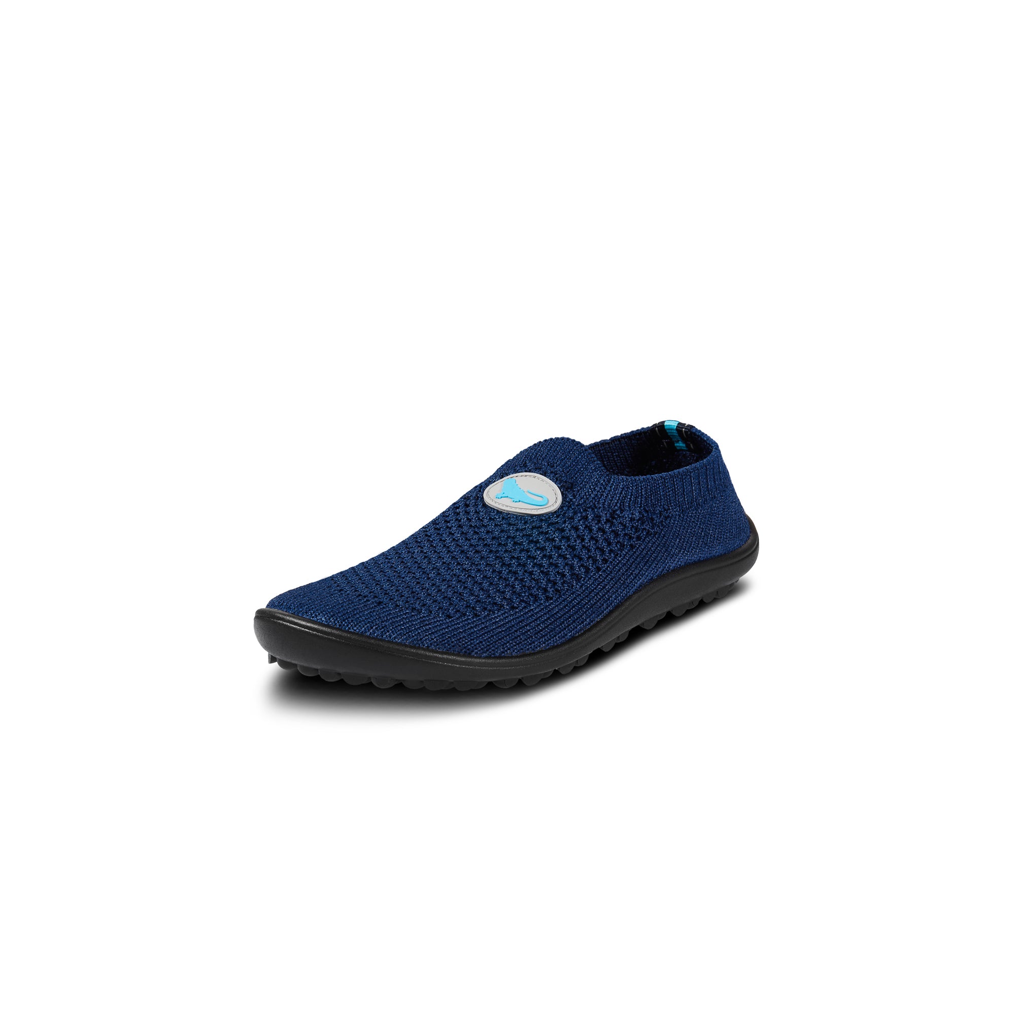 Leguanito Scio – Blue (23-28)