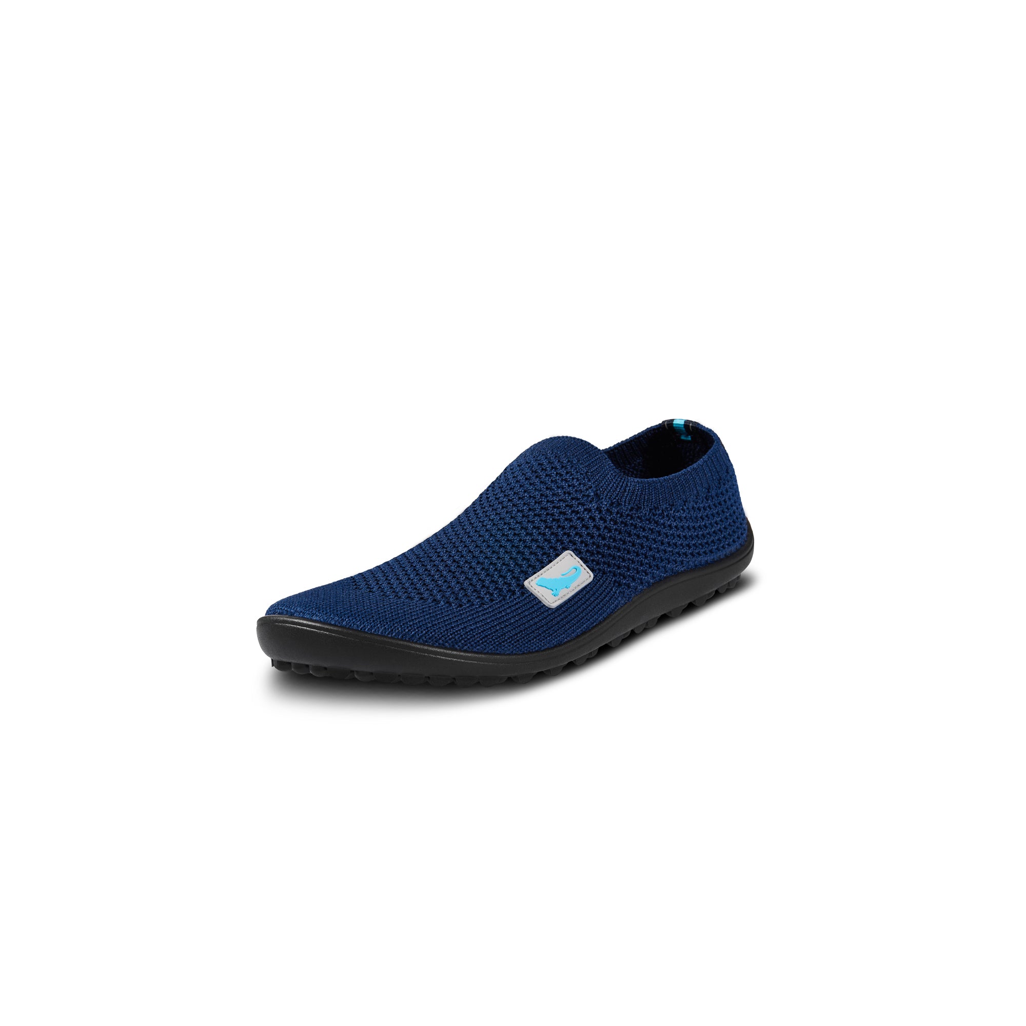 Leguanito Scio – Blue (29-34)