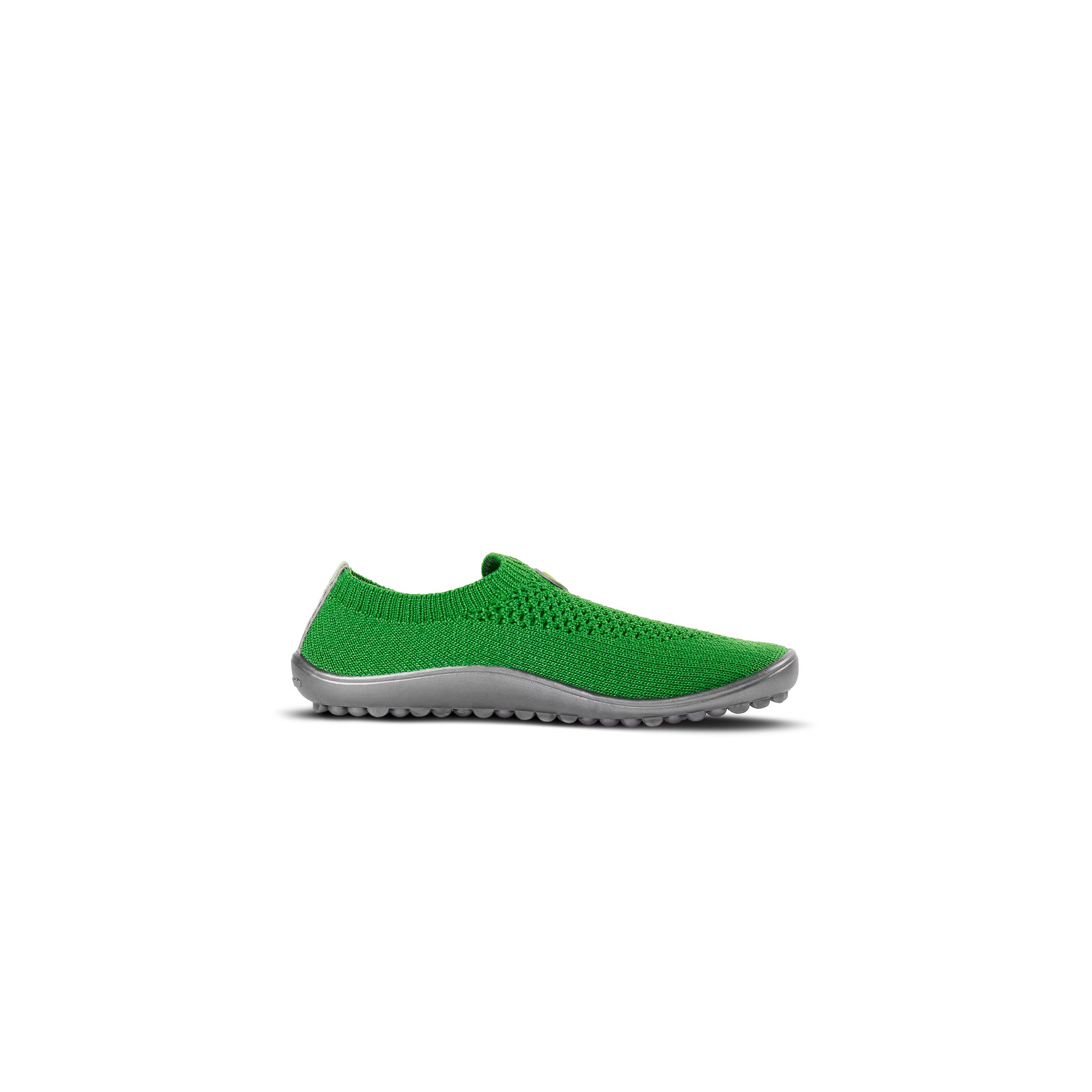 Leguanito Scio – Green (29-34)